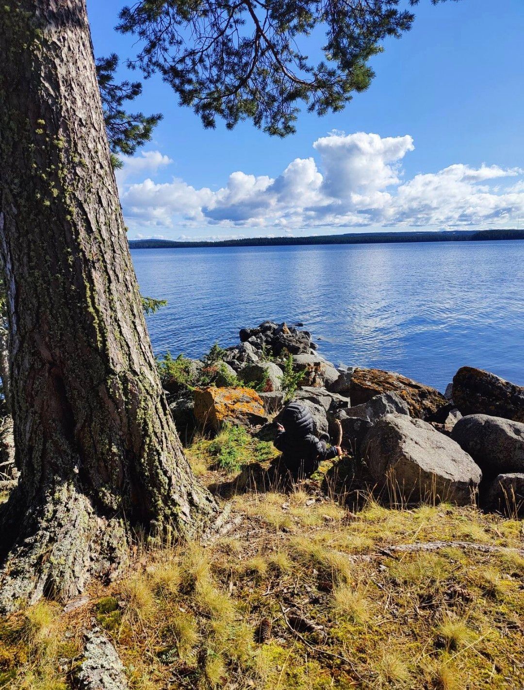 Norderön, Rapp-Anders Torpet Sommarboende – bild 15 av 15
