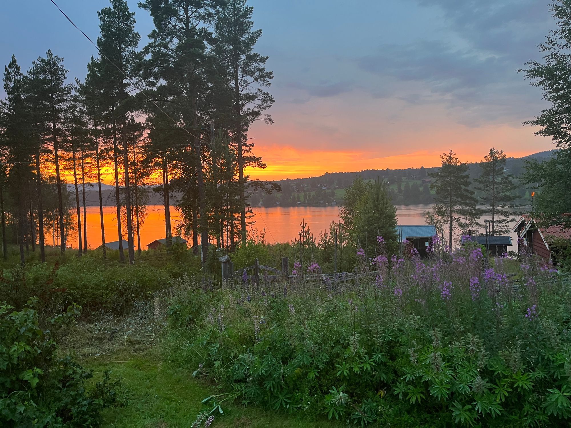 Charmig stuga med bastu och egen brygga – bild 5 av 24