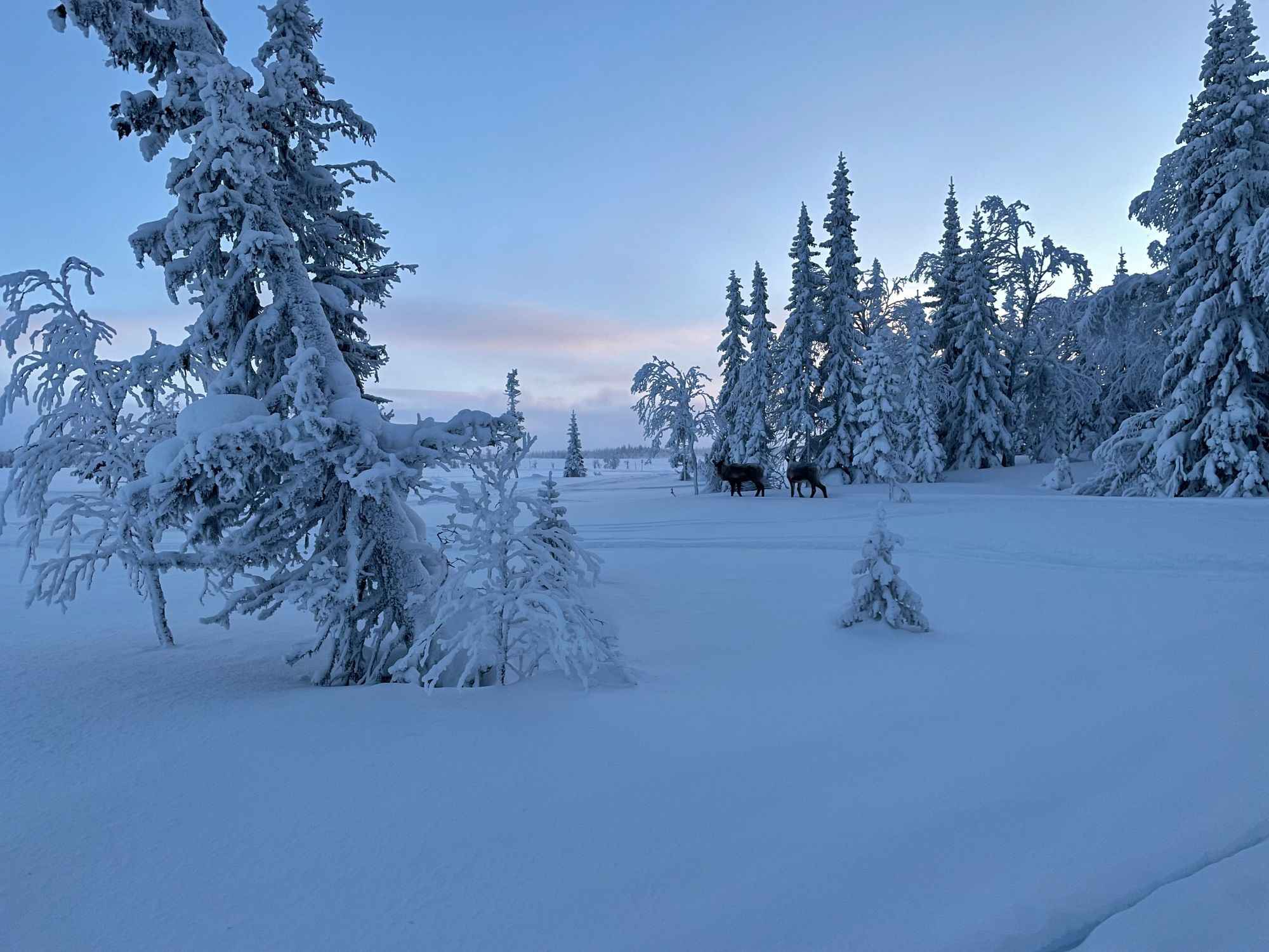 Lilla Lugnet - Storsjö Kapell – bild 15 av 24