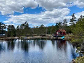 Idyllisk sommarstuga mitt i naturen vid sjökanten
