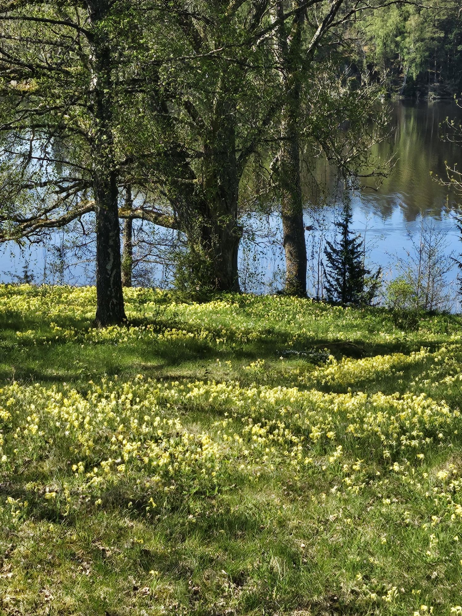 Hus i Sörmland vid sjö med egen brygga och bastu – bild 9 av 24