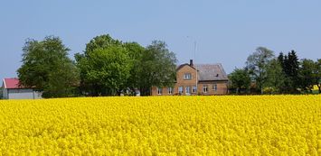 Lisas hus mitt på Österlen