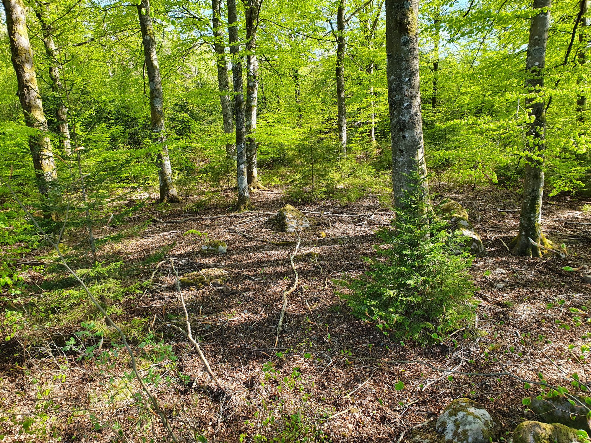 Stuga Soldattorp Byggd 2014 – bild 4 av 16