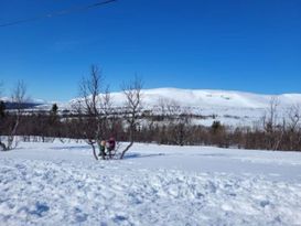 Åre Duved mysig modern fjällstuga 5-7, husdjur ok