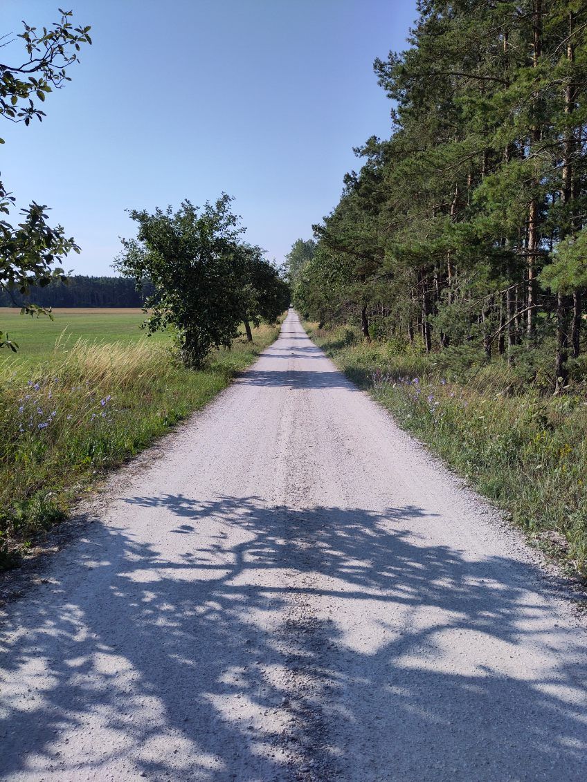 Stuga med fri havsutsikt och nära till badstrand – bild 13 av 13