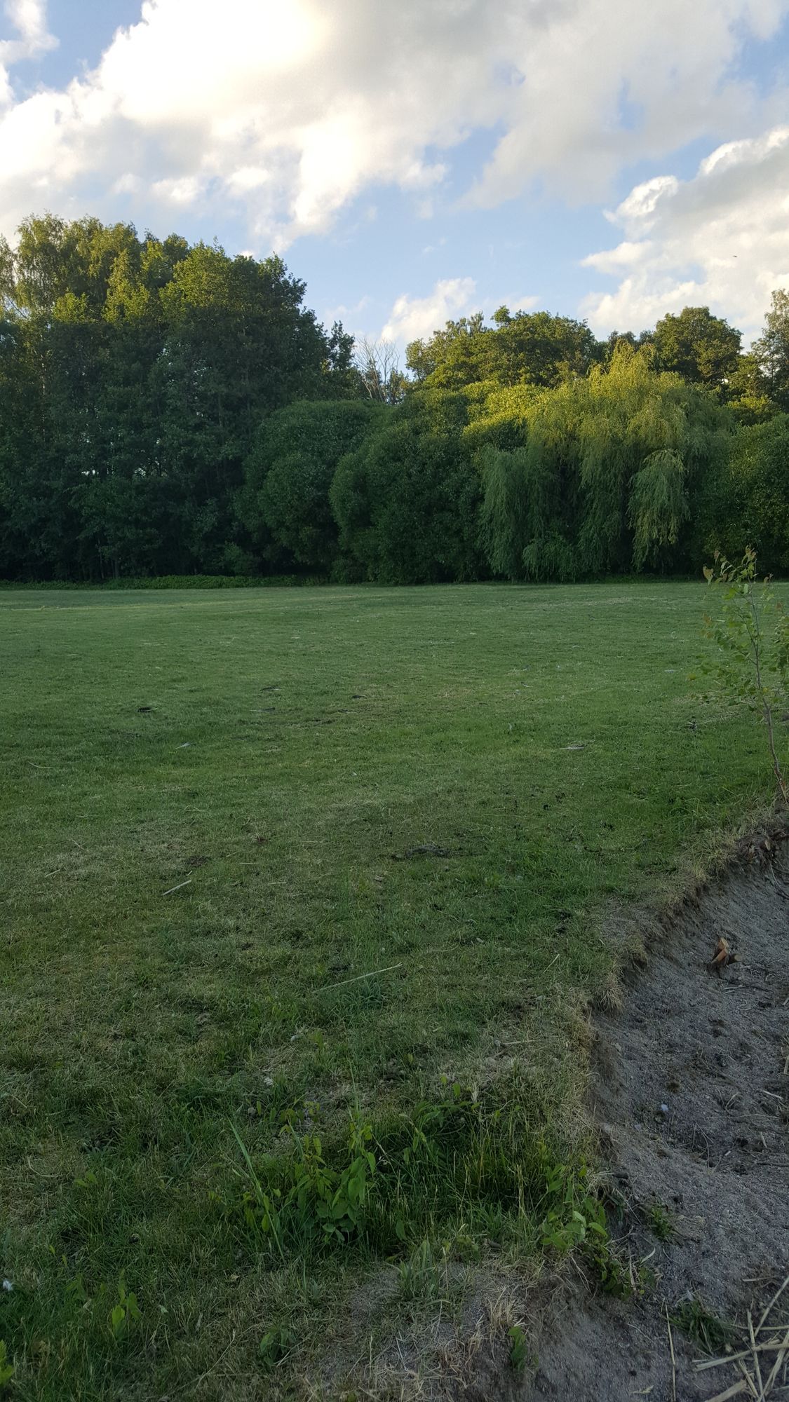 Hus på stor strandtomt vid sjön Mälaren – bild 15 av 24