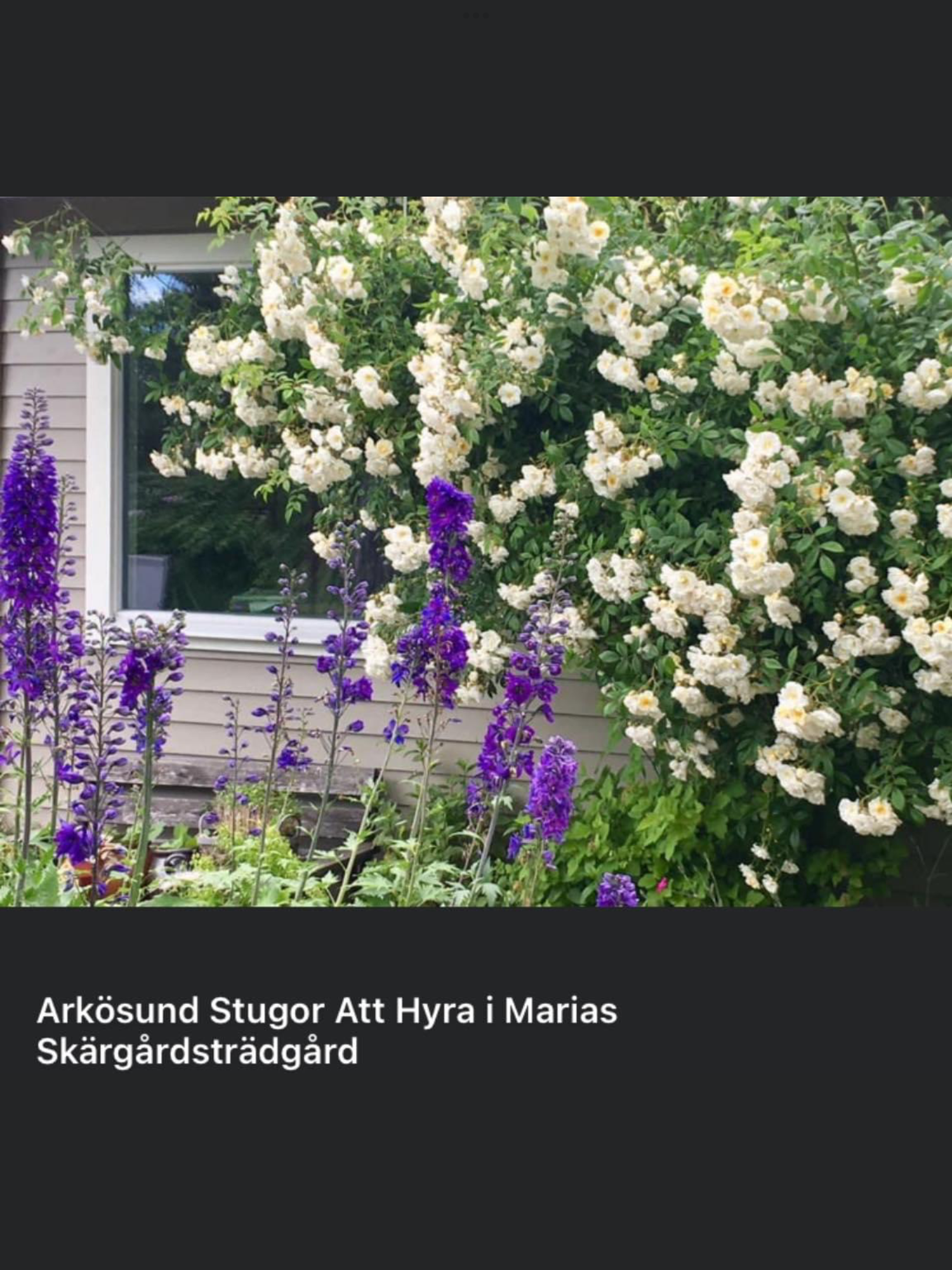 Arkösund Stugor -gångavstånd till allt i Arkösund! – bild 10 av 24