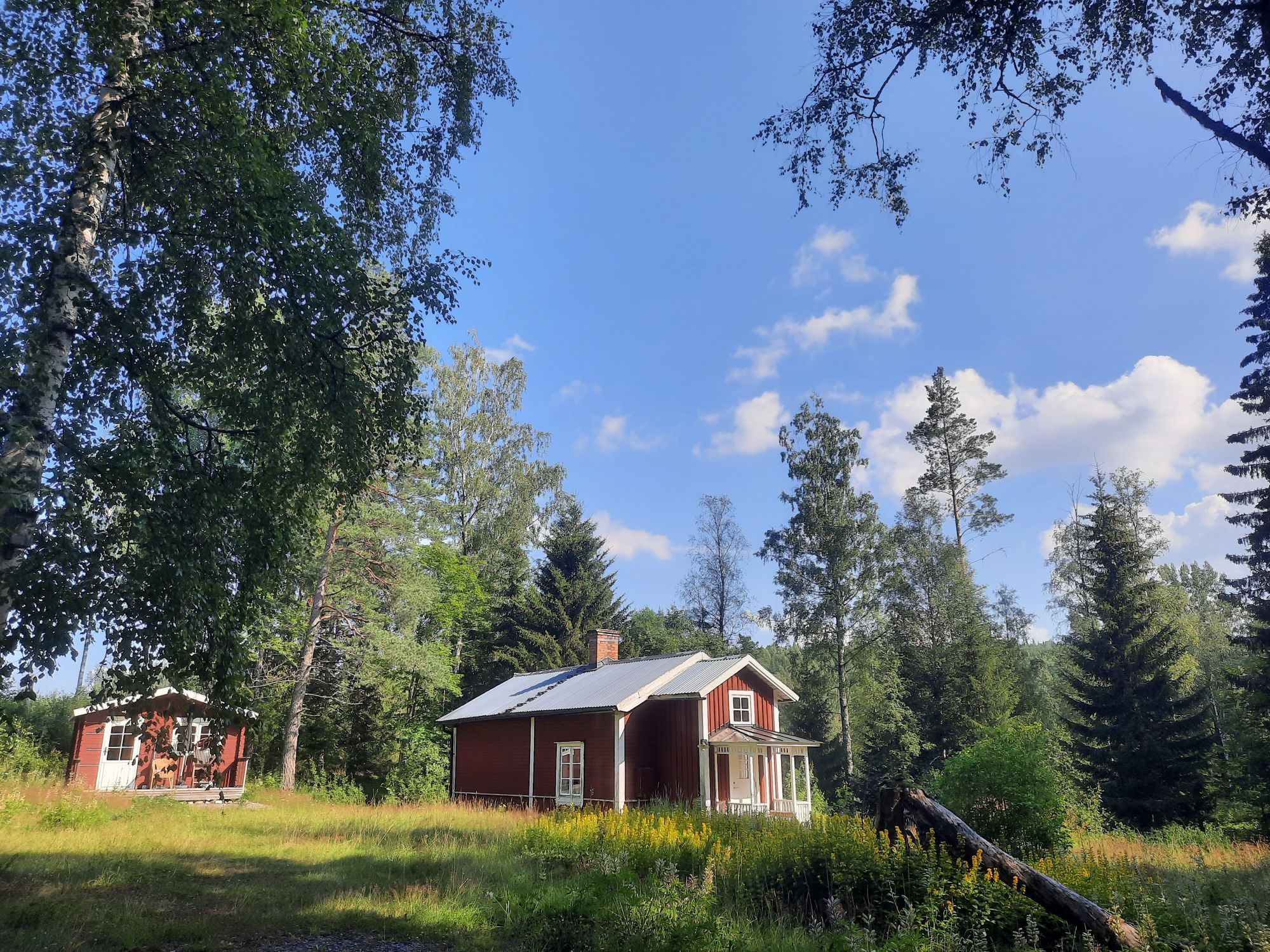 Vacker semesterbostad direkt i skogen