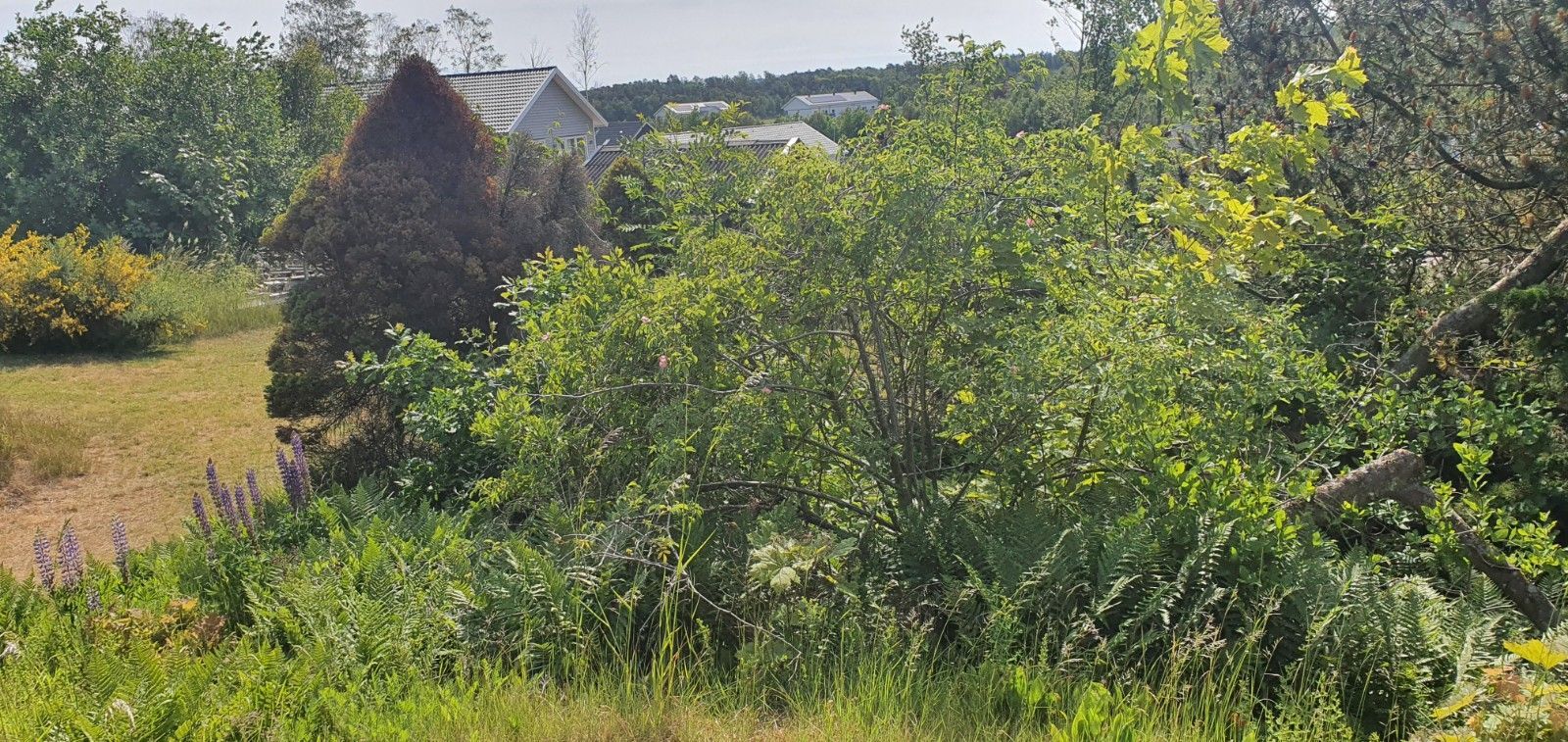 Falkenberg-Ringsegård-Skrea-800 m till stranden. – bild 21 av 24
