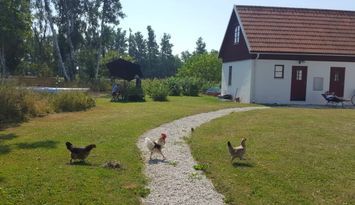 Nyinrett gårdshus i Hamra - nära hav och natur