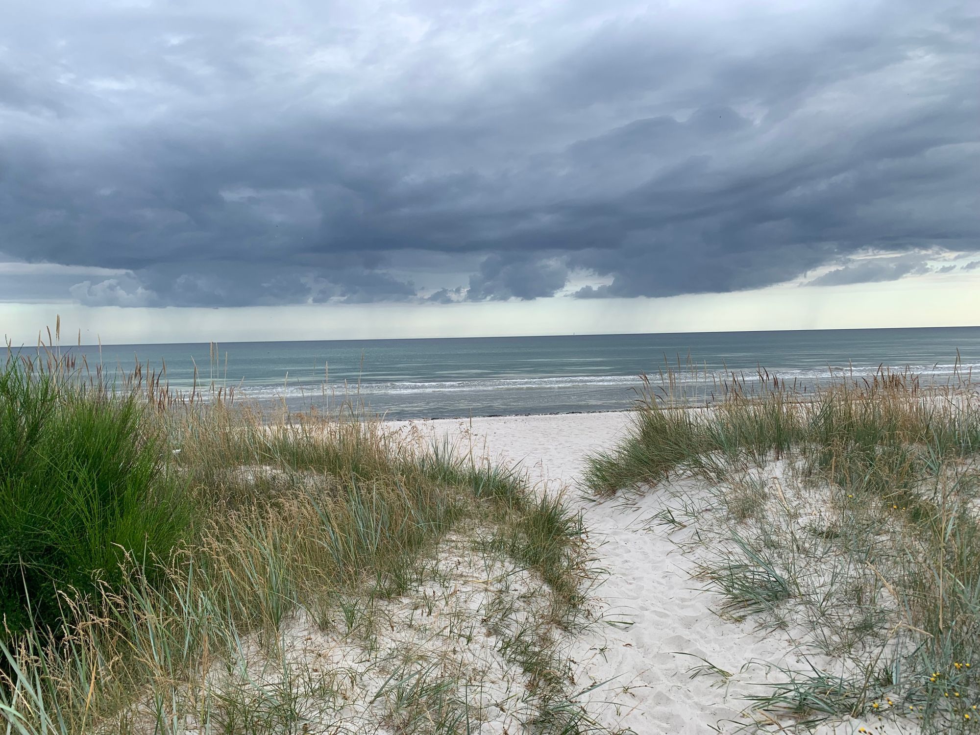 Stuga med stor strandnära tomt utanför Ystad – bild 4 av 17