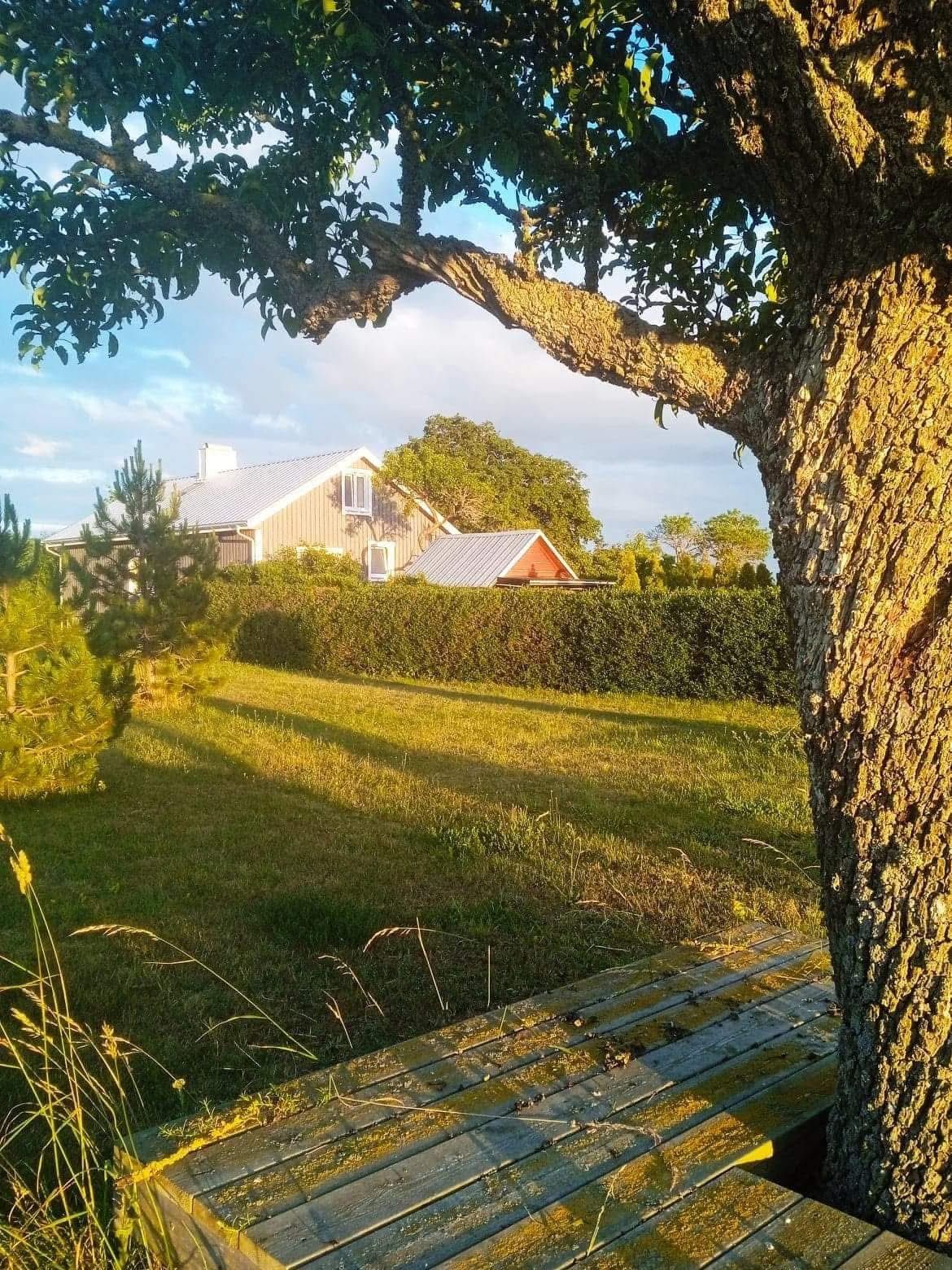 9 min Gnisvärd,Tofta. Nära Visby & djurpark – bild 19 av 24