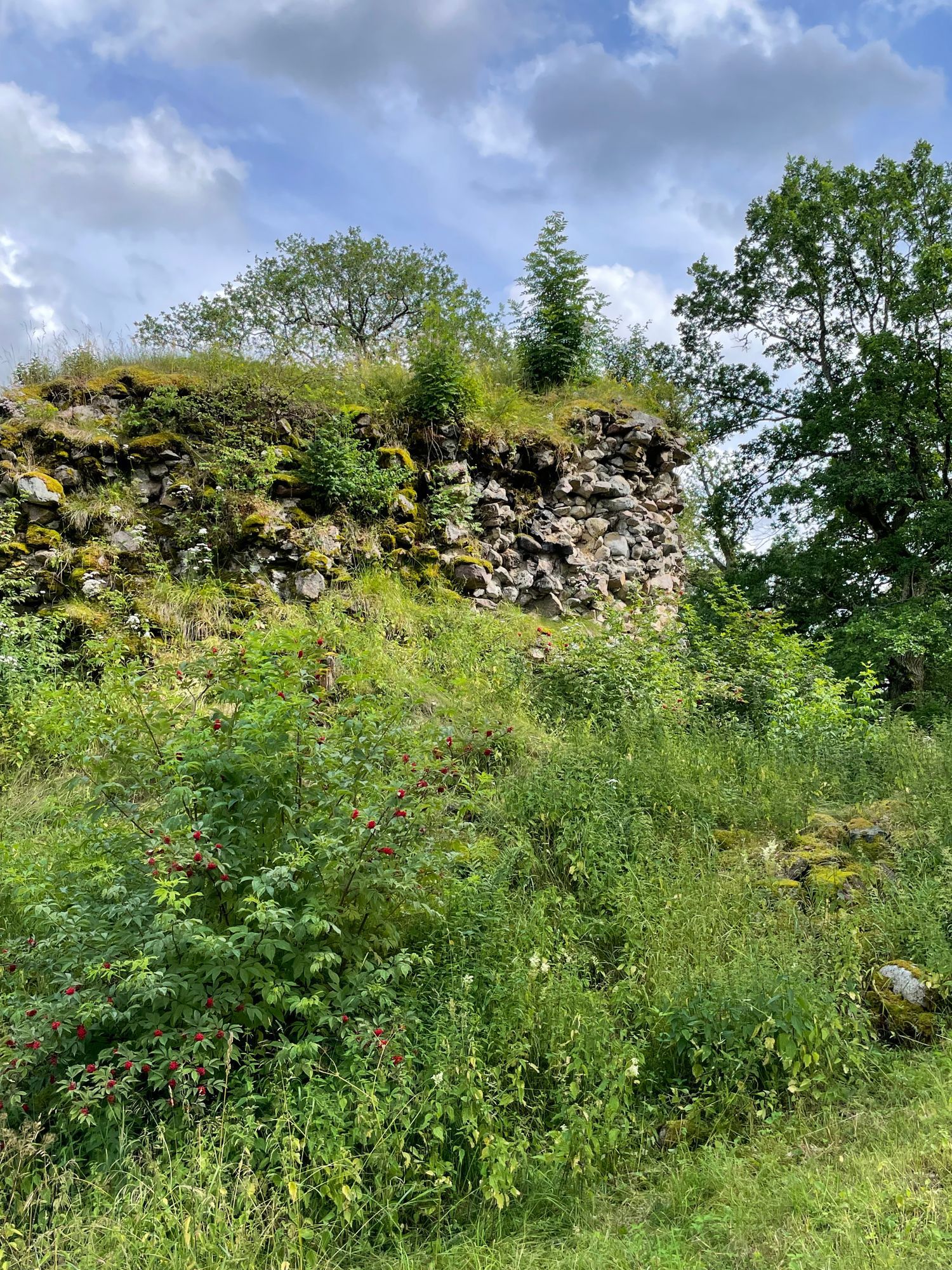 Enklare sommarboende i Östergötland – bild 4 av 21