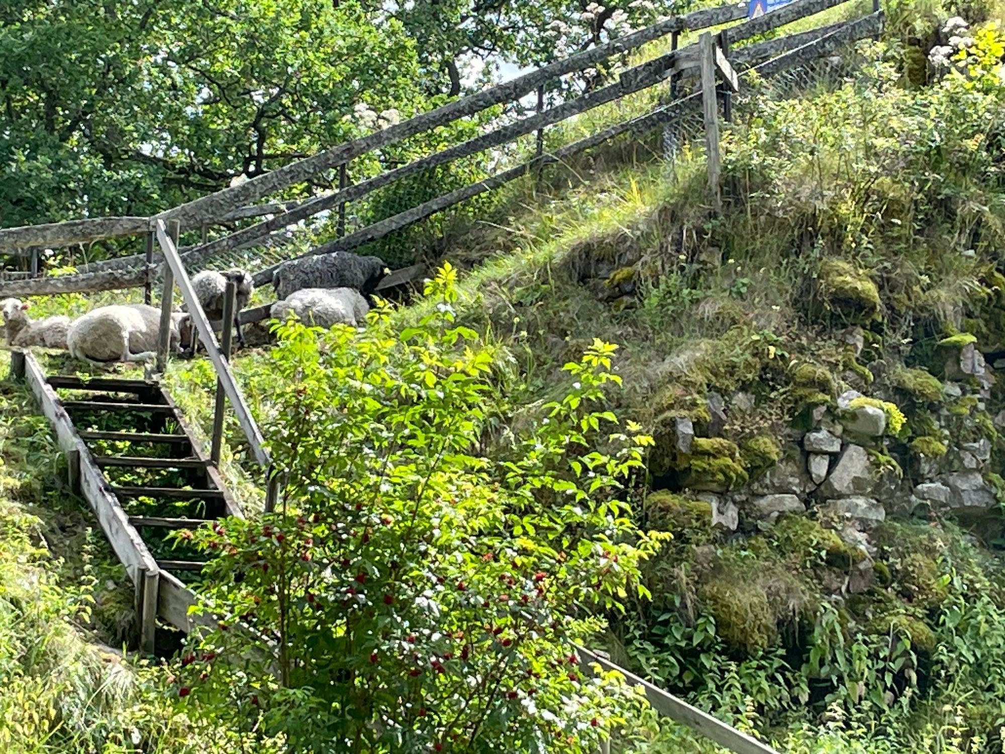 Enklare sommarboende i Östergötland – bild 5 av 21
