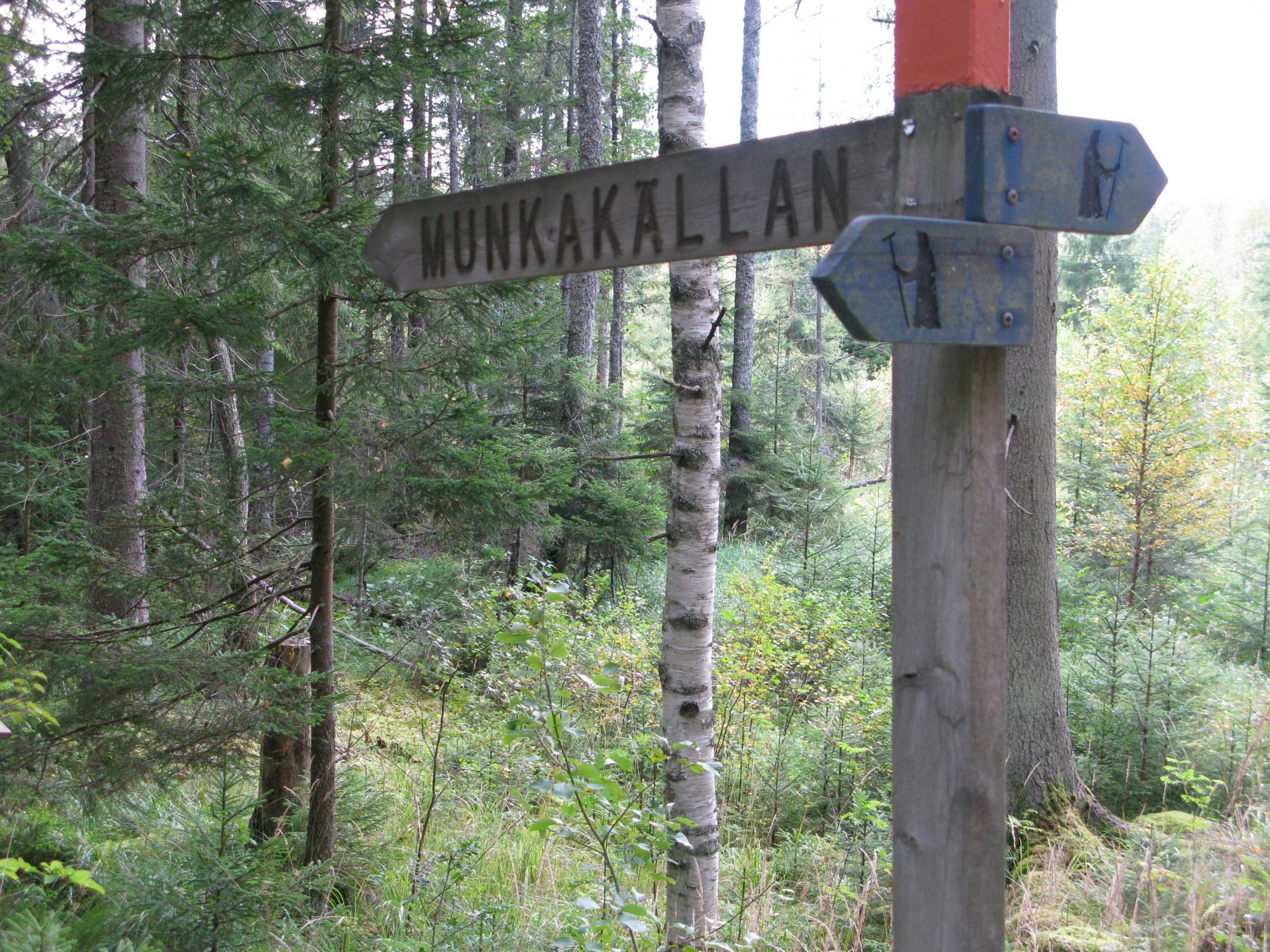 Lilla Rödjorna nära Tivedens National Park – bild 14 av 23