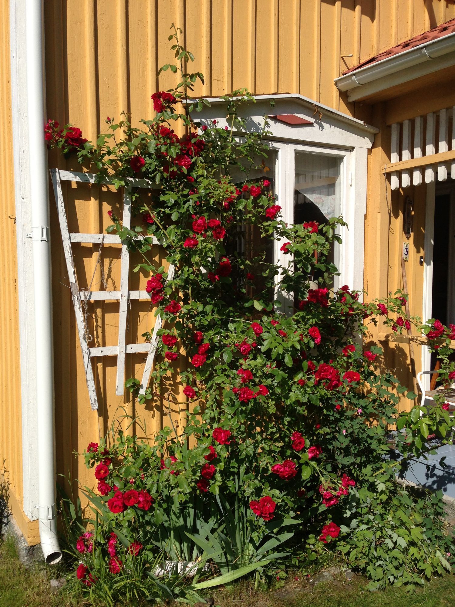 Smålandsvilla – bild 5 av 24