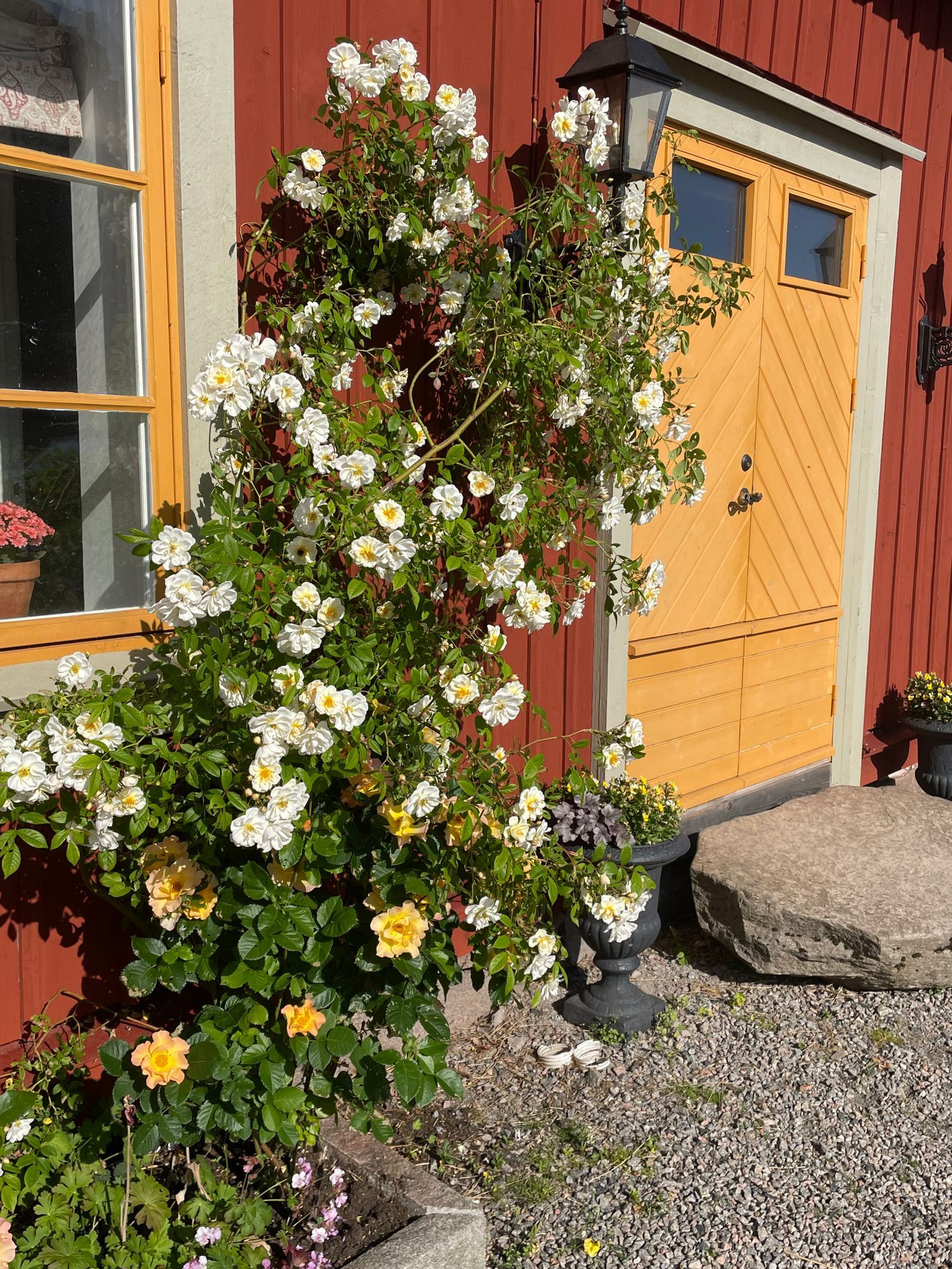 Charmigt nyrenoverat brygghus! – bild 5 av 24
