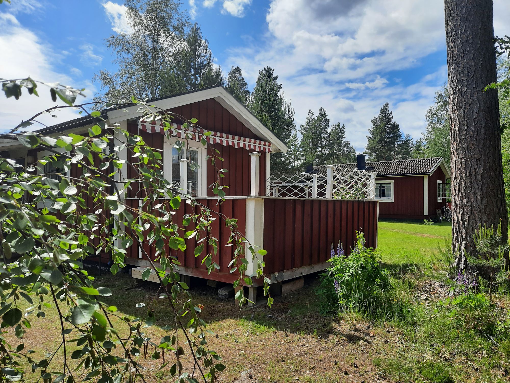 Mysig stuga på Sollerön🏡 250 m till Morgondoppet!