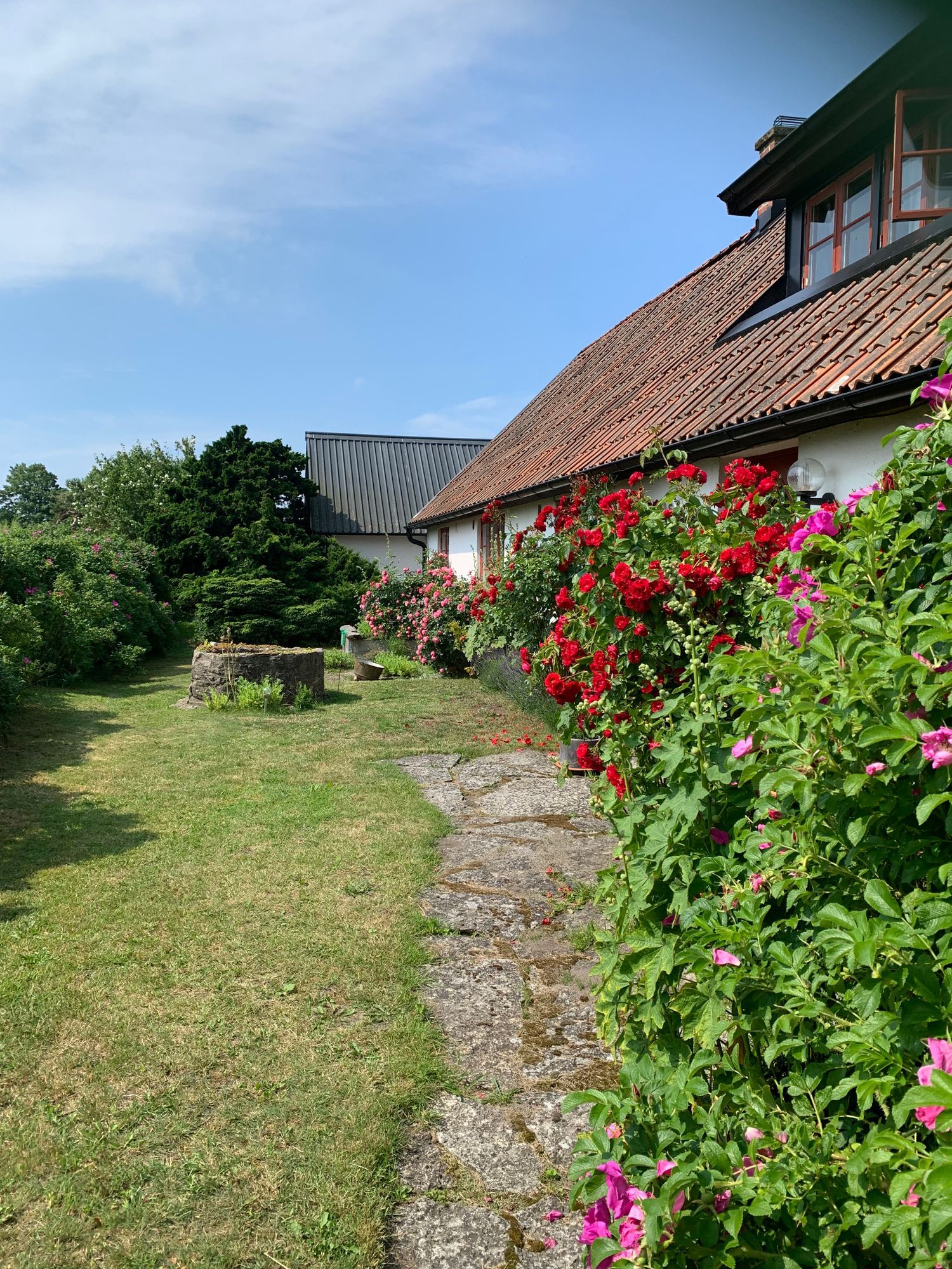 Österlen skånelänga vid havet