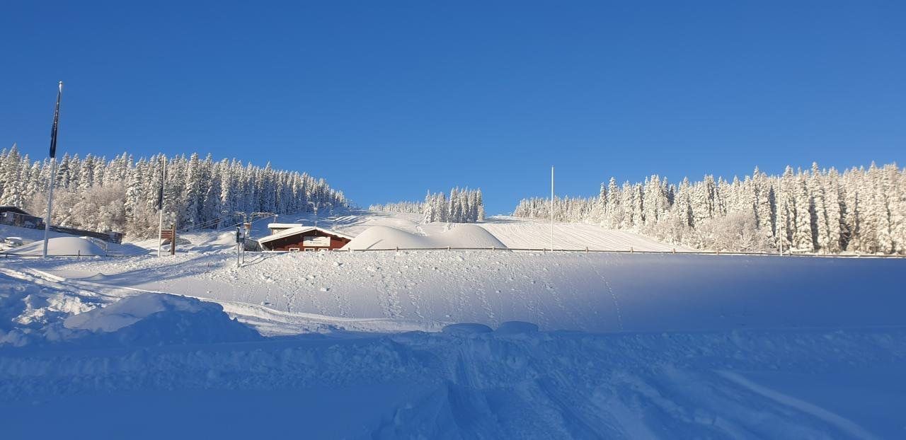 Semesterboende i vackra Bydalen – bild 5 av 24