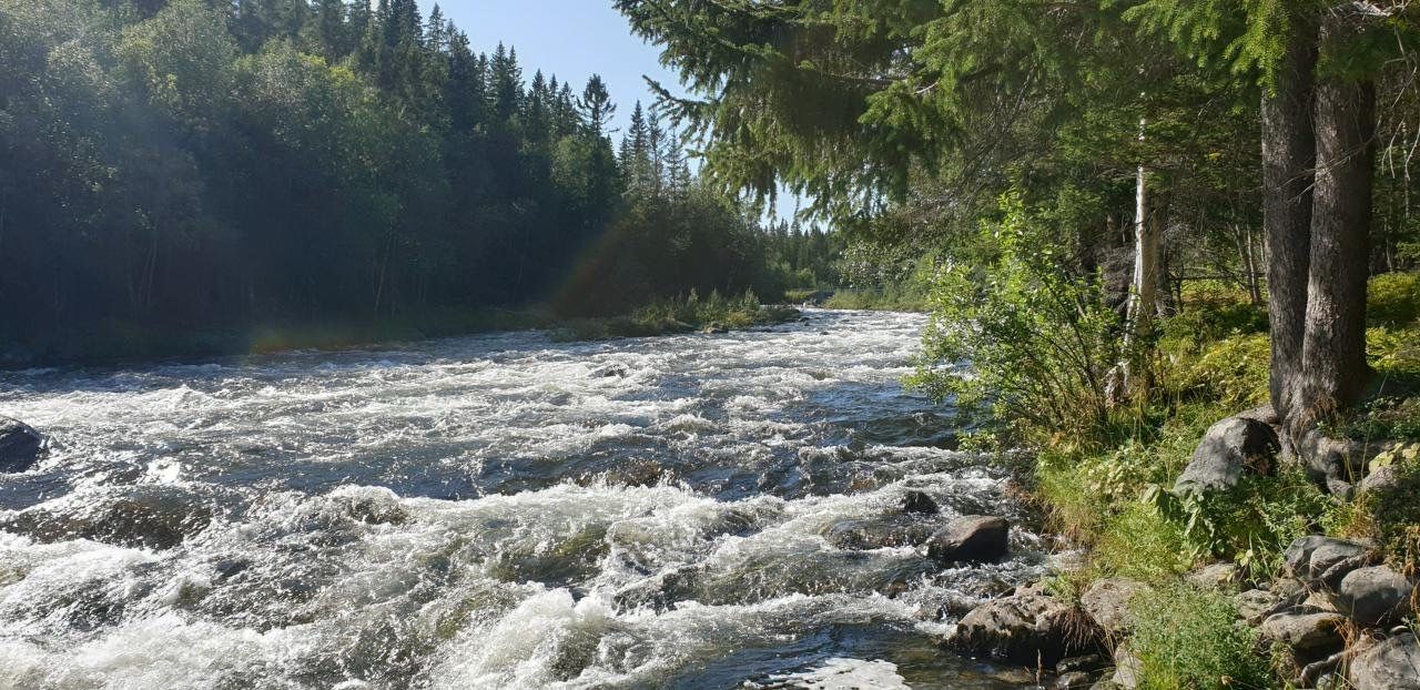 Semesterboende i vackra Bydalen – bild 11 av 24