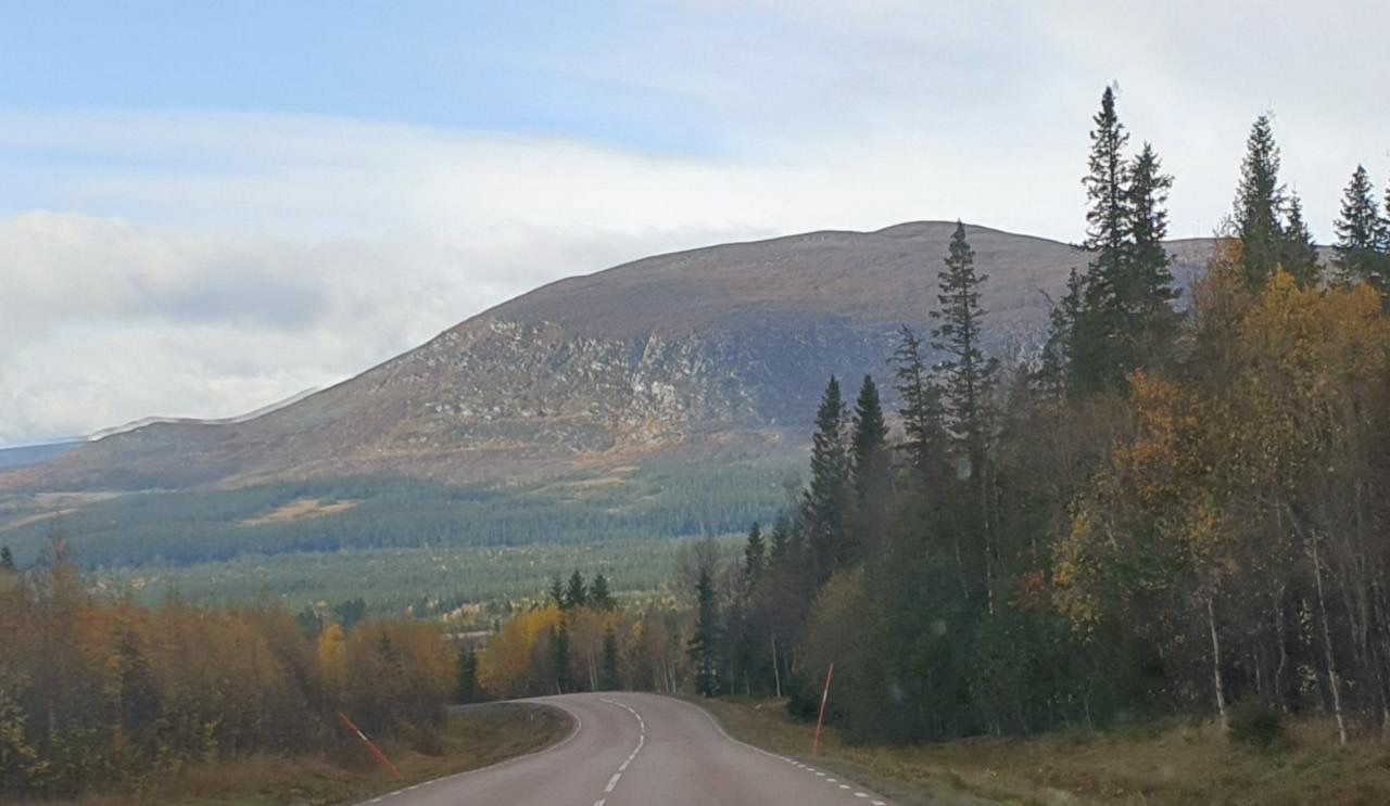 Semesterboende i vackra Bydalen – bild 7 av 24