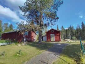 🌲Tiny Timber Lodge from early 1900s