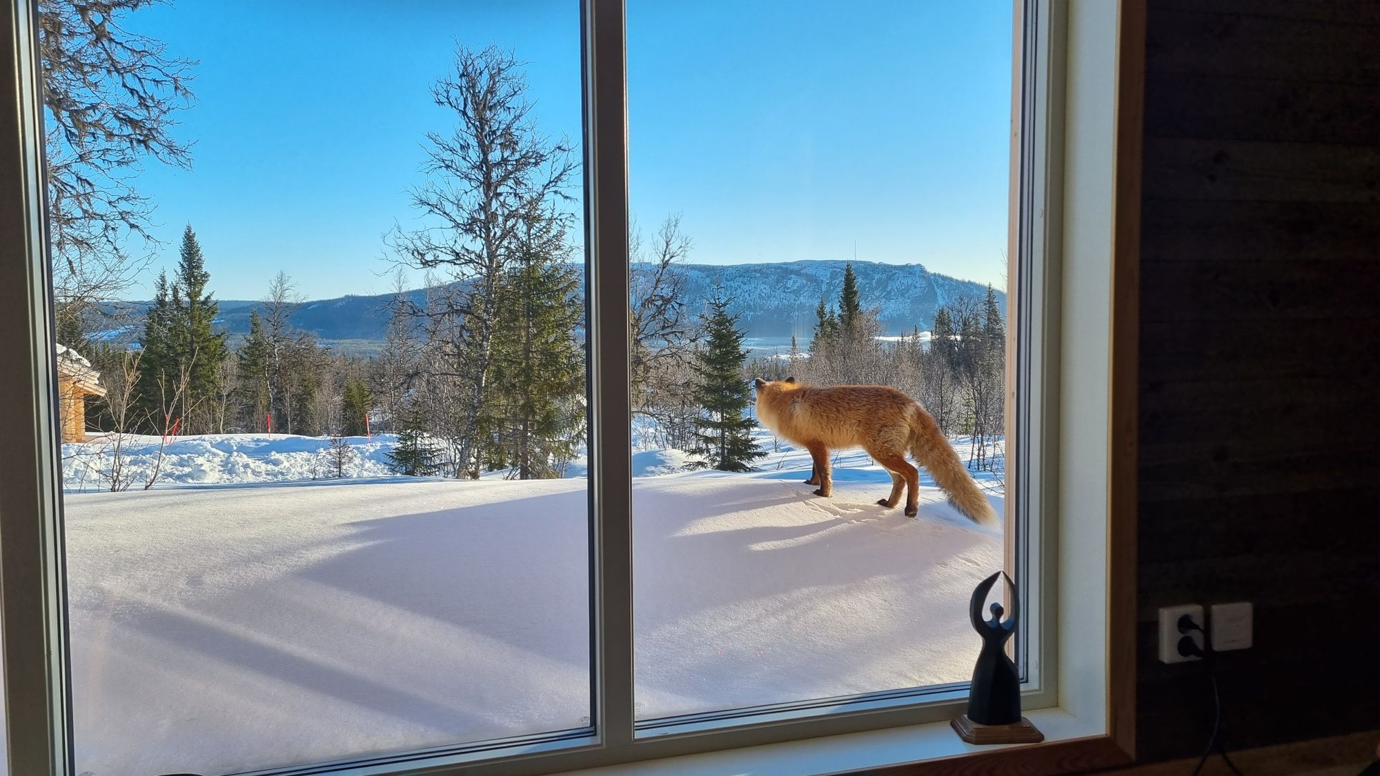 Stuga i Funäsdalen med 8 + 2 bäddar #33161 – bild 9 av 24