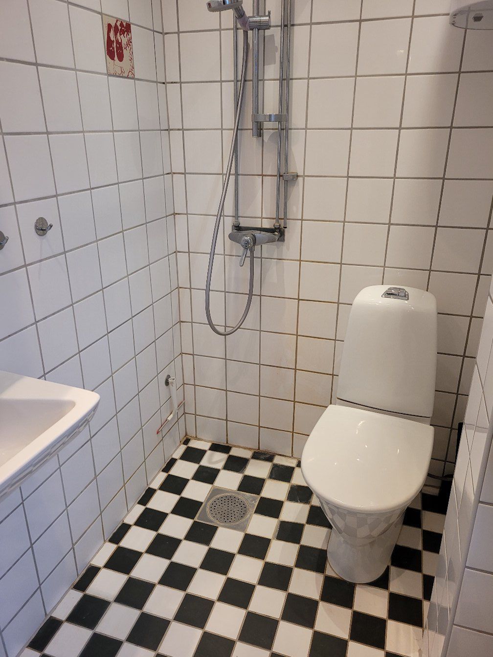 Gammalt kulturhus i Tomelilla – bild 9 av 14