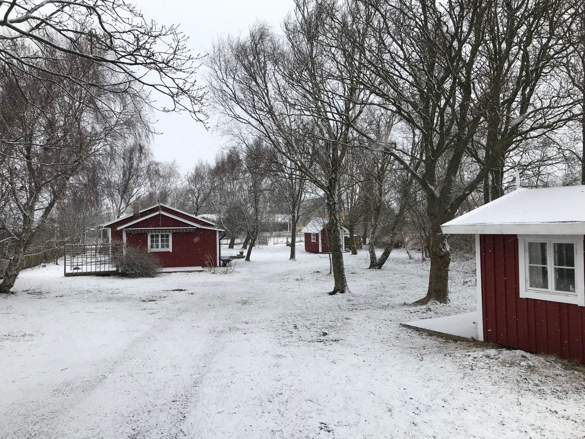 Stuga 60m från sandstranden i St Hult, Vejbystrand – bild 23 av 24
