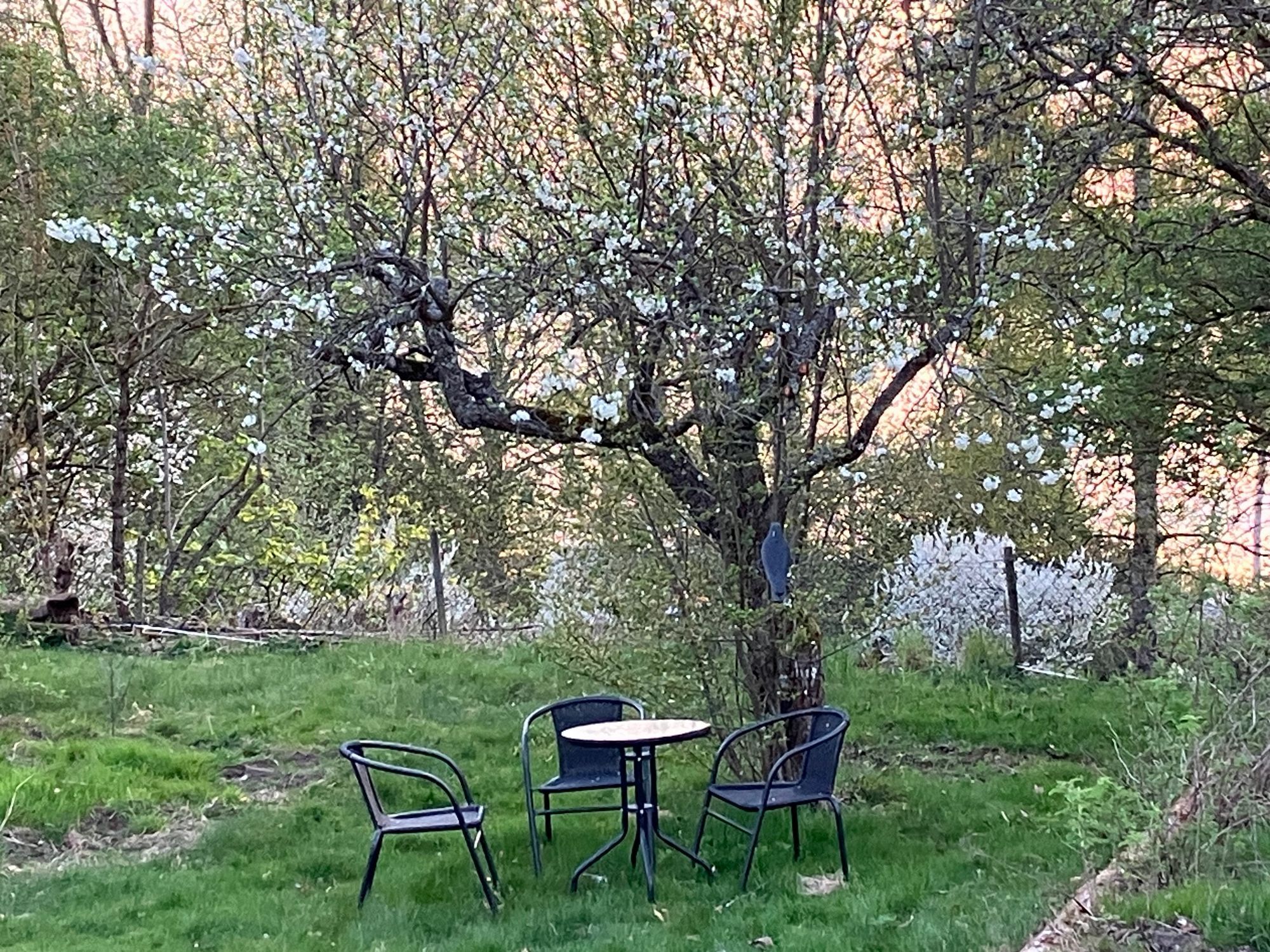 Härligt hus på mysig plats intill sjö! – bild 22 av 22