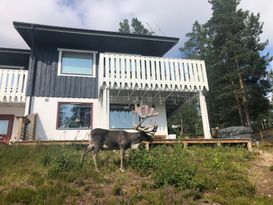 Björnrike FeWo am Skiweg mit Blick & Sauna