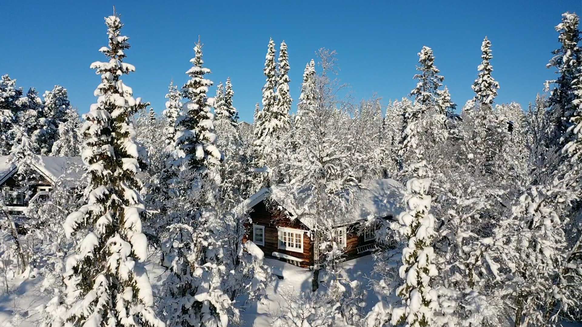 Härlig 6-bäddstuga med fjällutsikt