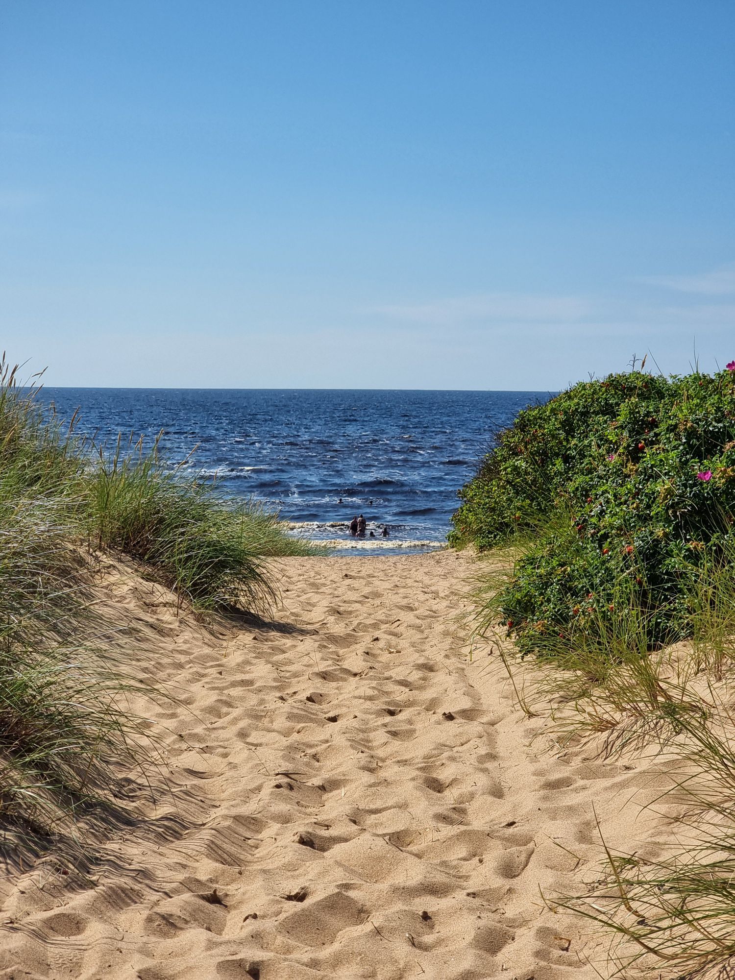Fin stuga i lugnt område i Mellbystrand – bild 19 av 20