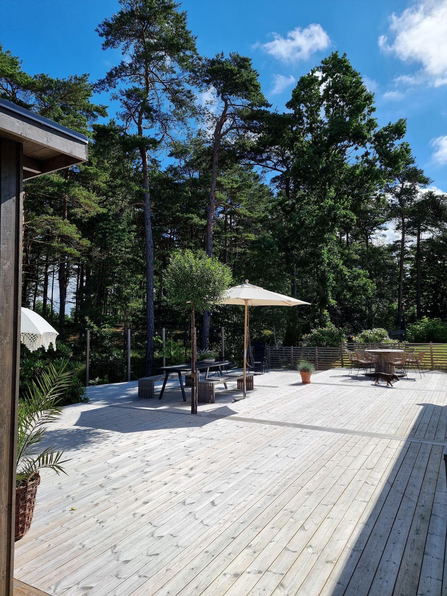Fin stuga i lugnt område i Mellbystrand – bild 12 av 20