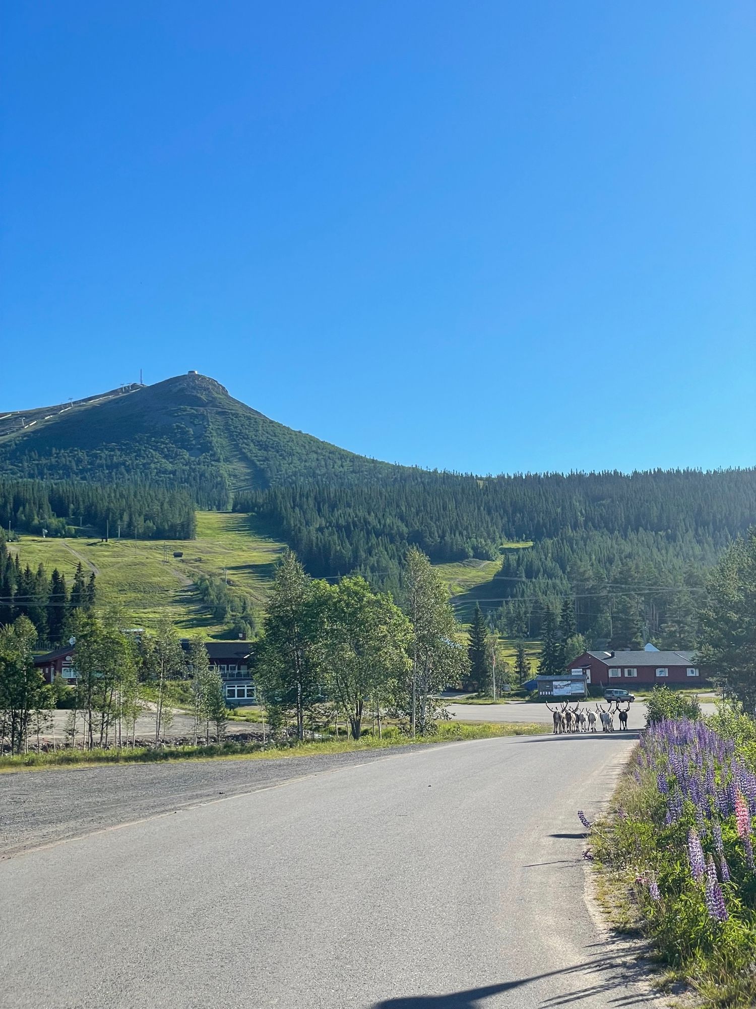 Härlig stuga i Lofsdalen – bild 19 av 24