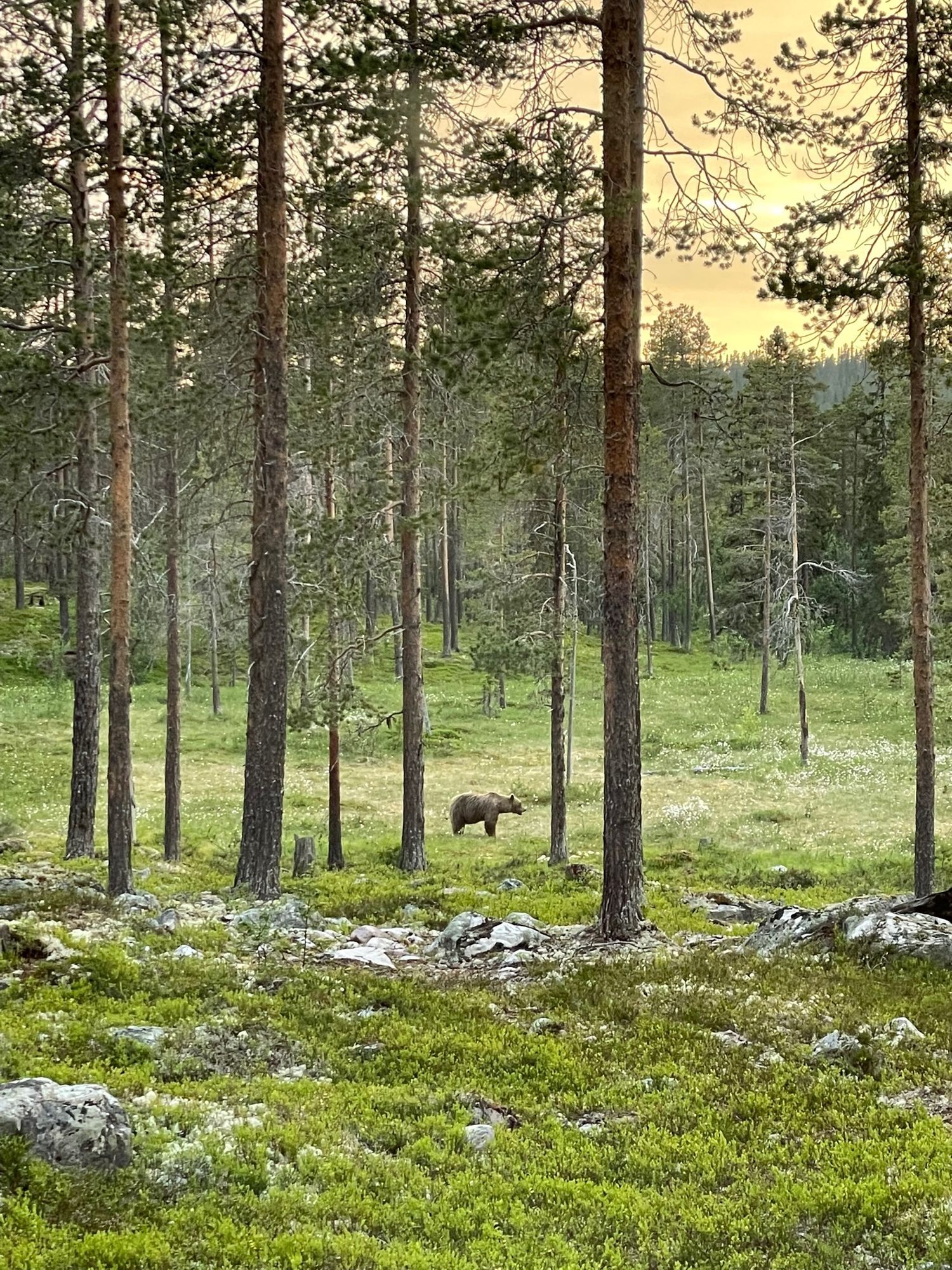 Härlig stuga i Lofsdalen – bild 24 av 24