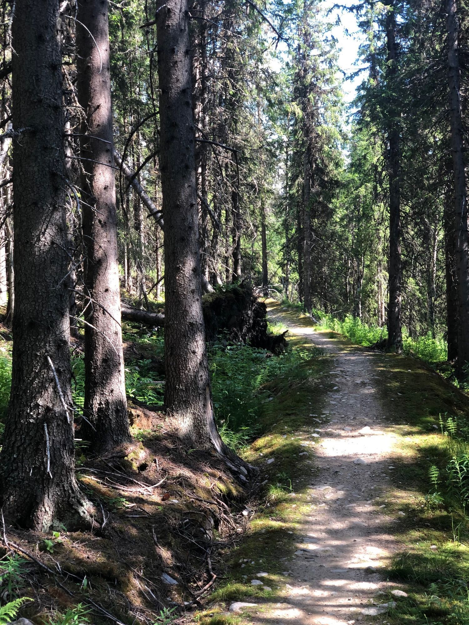 Härlig stuga i Lofsdalen – bild 23 av 24