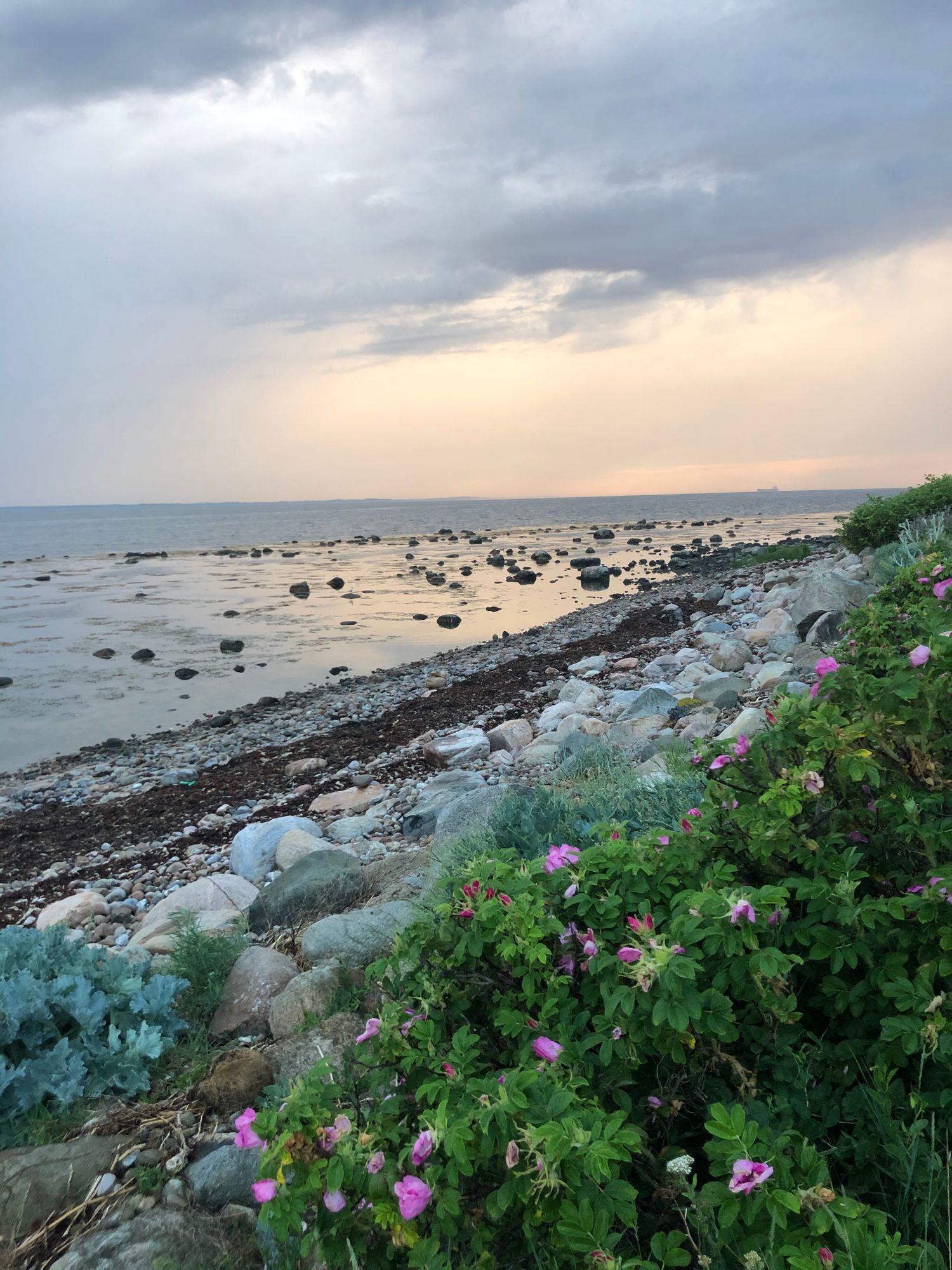Charmigt gathus nära havet – bild 22 av 22