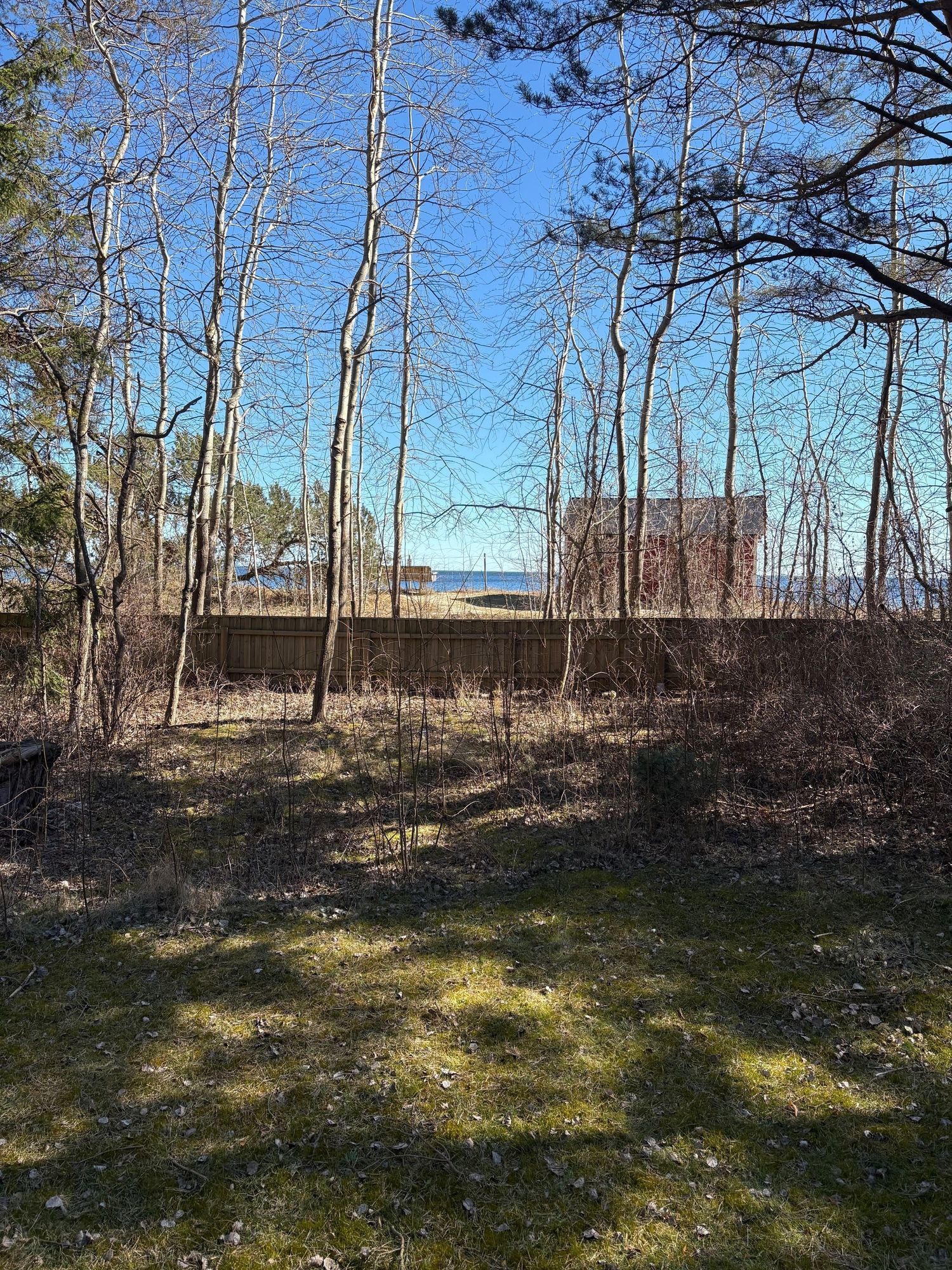 Stuga vid havet i Åhus – bild 3 av 10