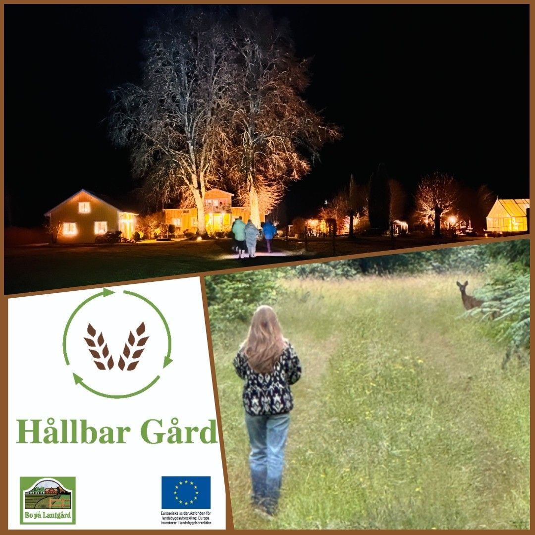 Naturskön och lantlig idyll mellan sjöar. – bild 6 av 24