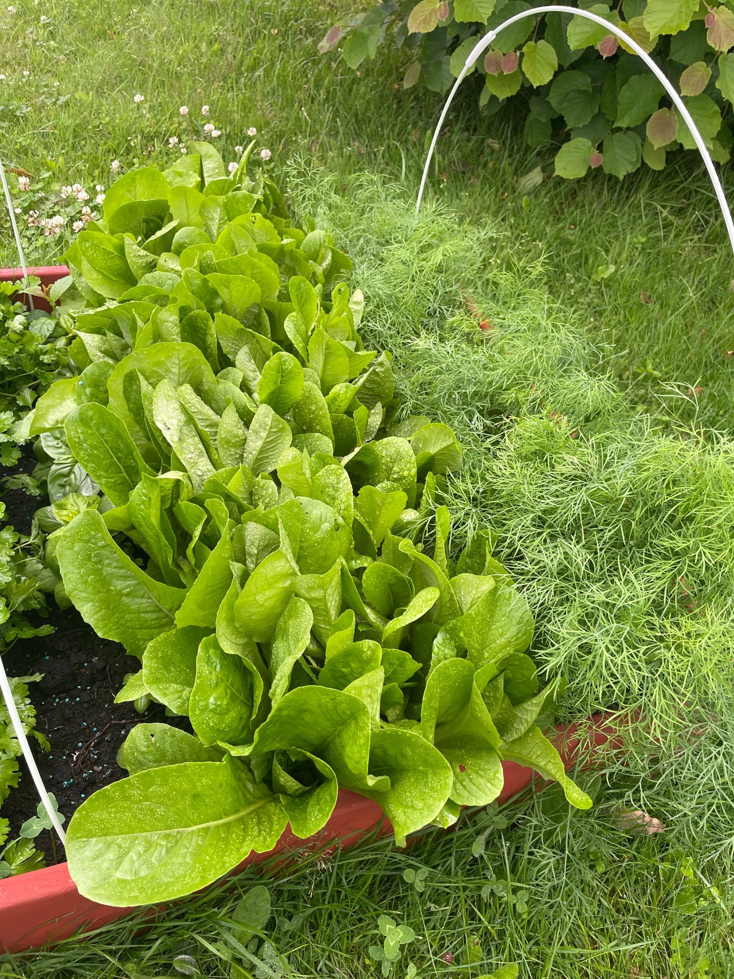 Mysig stuga nära sjö och natur – bild 10 av 13