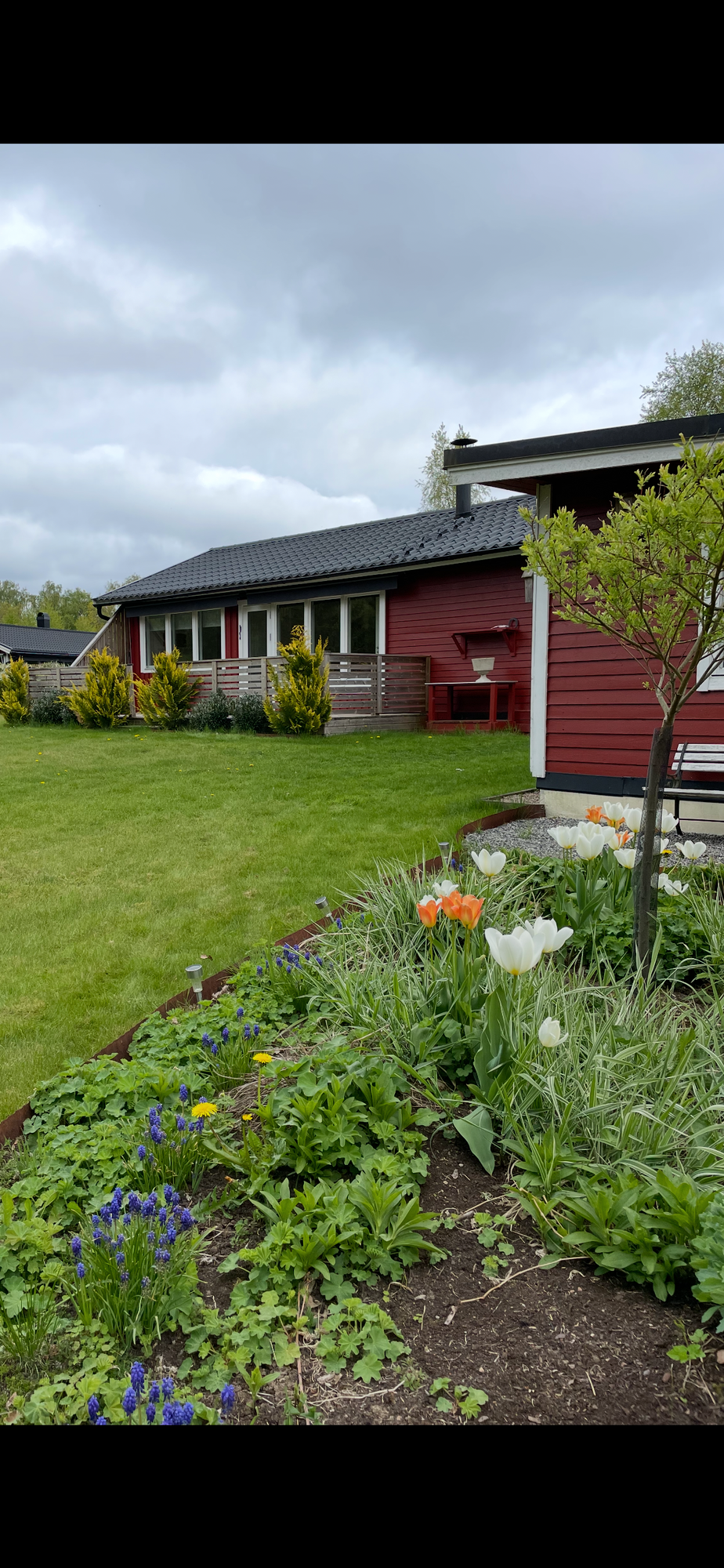 Mysig stuga nära sjö och natur – bild 13 av 13