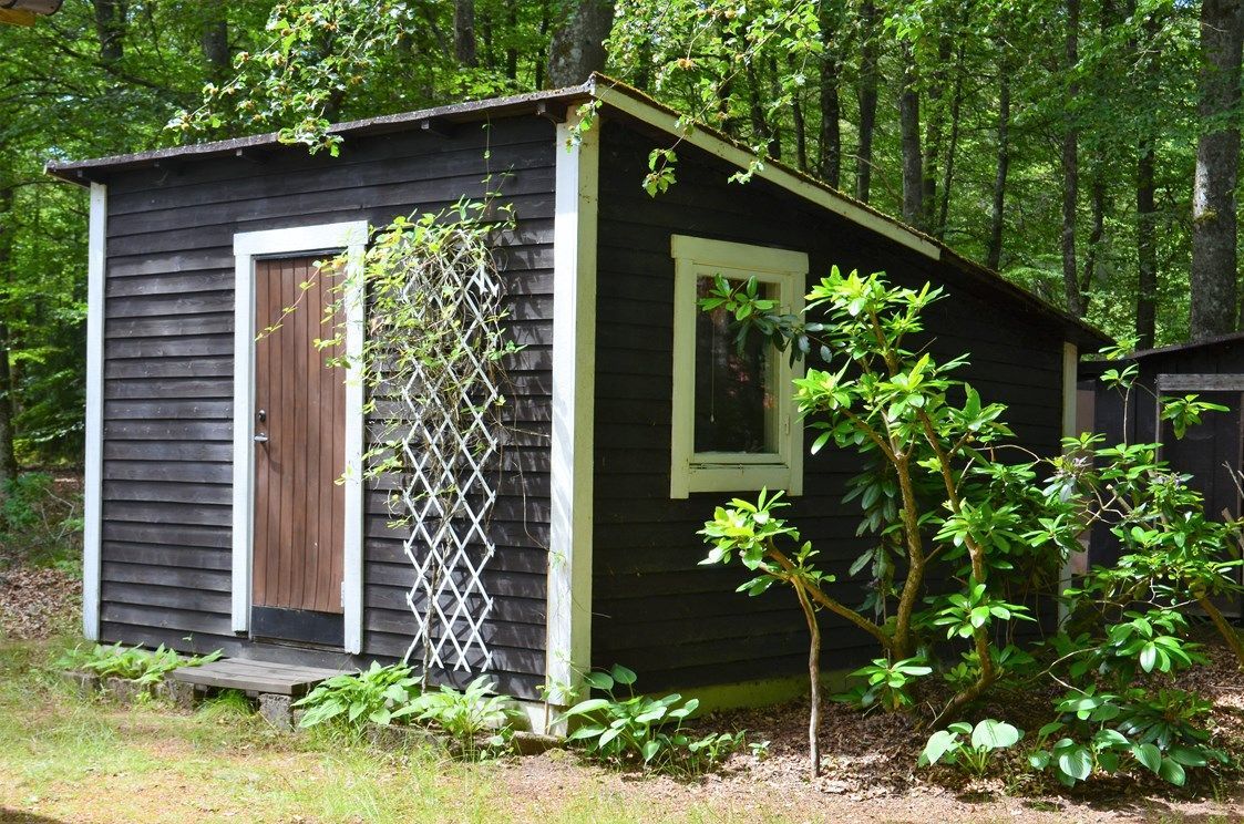 Mysig stuga mitt i bokskogen och stenkast från sjö – bild 17 av 24