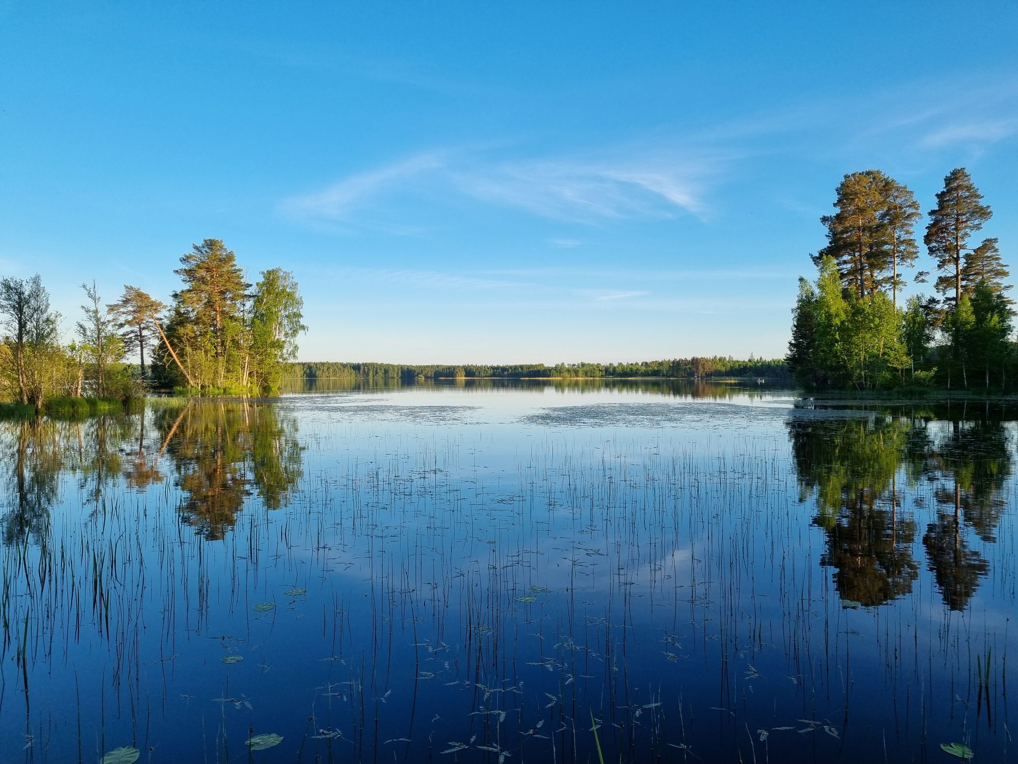 Liten stuga med sjöutsikt – bild 21 av 22