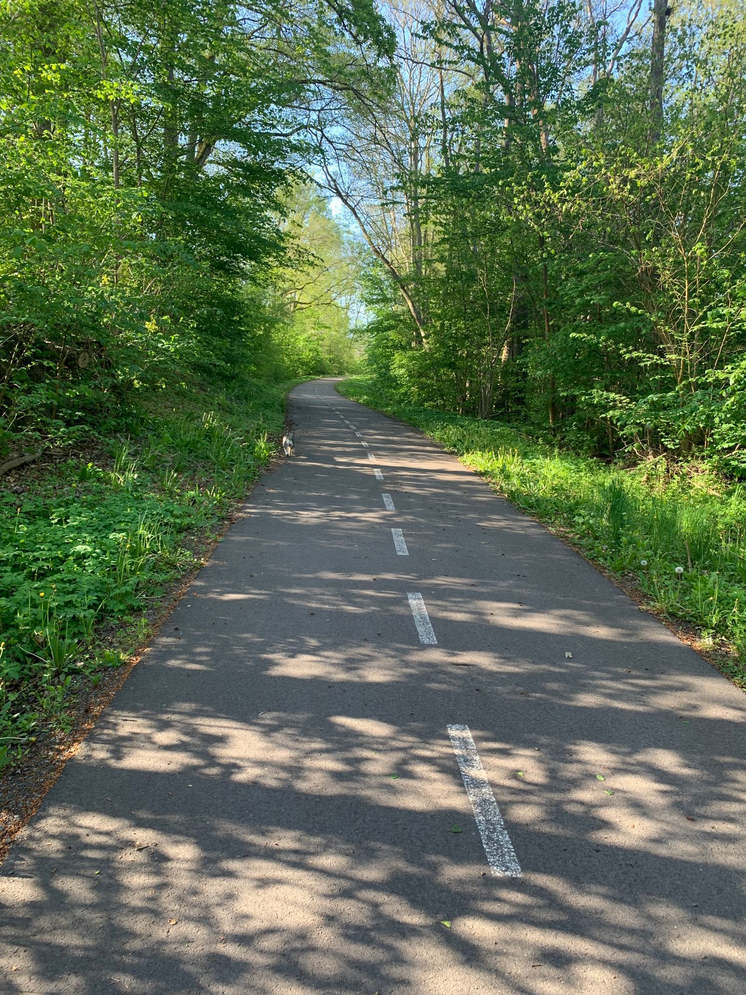 Boende vid råbelövsjön – bild 19 av 19