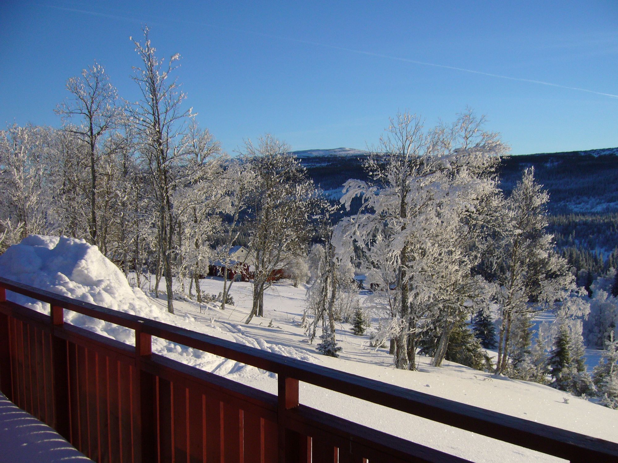 Vårt Paradis i Edsåsdalen! – bild 9 av 13