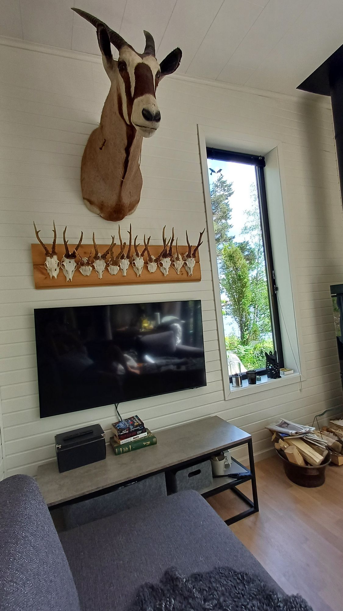 Sjöhuset - båtar, strand, bastu, brygga och grill! – bild 18 av 24