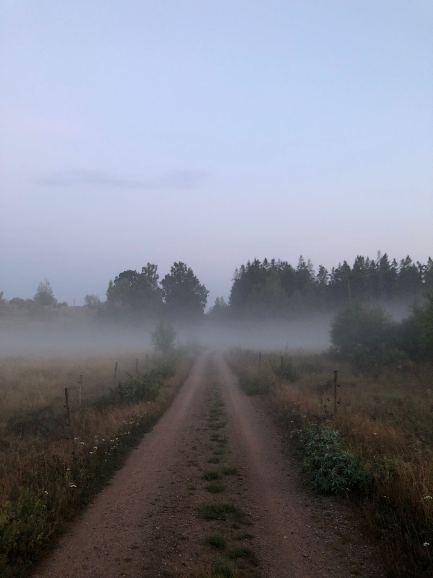 Underbart läge vid Svansjön – bild 9 av 12