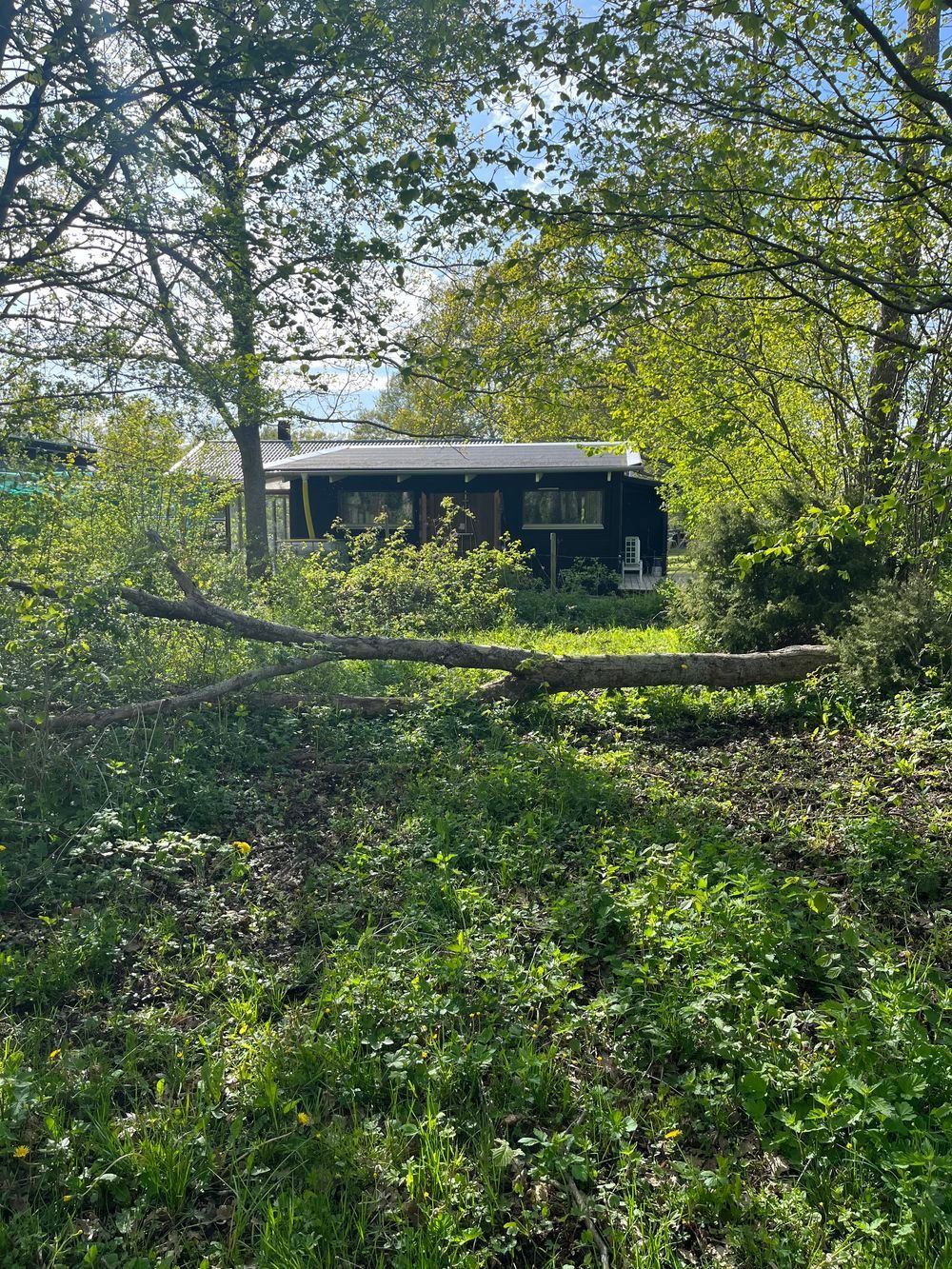 Mysig stuga nära Sandvik Öland – bild 2 av 24